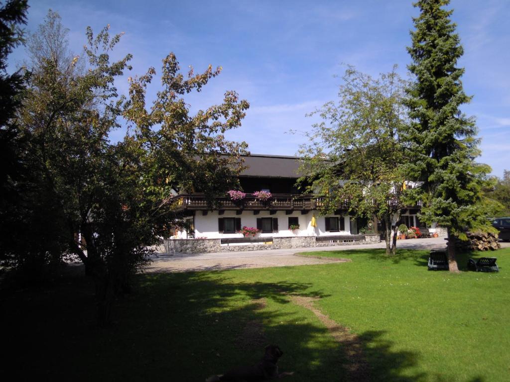 Haus Andreas Appartement Seefeld in Tirol Buitenkant foto